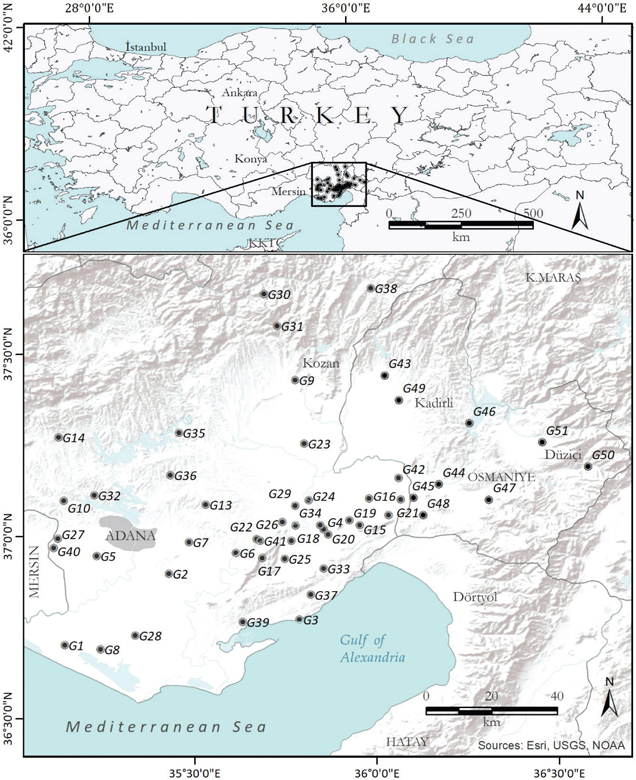 Fig 1