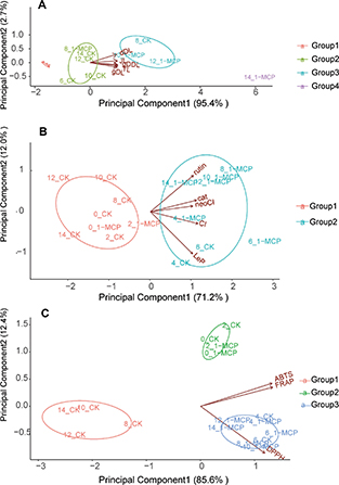 Fig 6